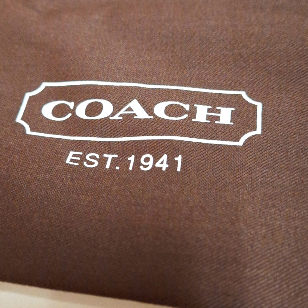 COACH Dust Bag, Brown, EUC, Enormous 23inx19in